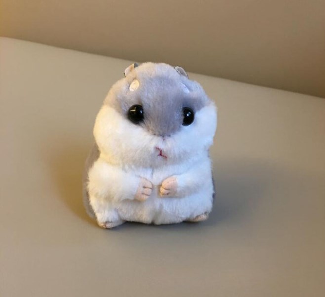 Новый Cute Plush Toys New cute soft plush hamster doll jewelry bag key pendant grasping machine plush hamster doll